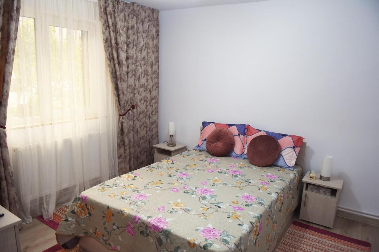 1St Apartment Nehoiu Esterno foto