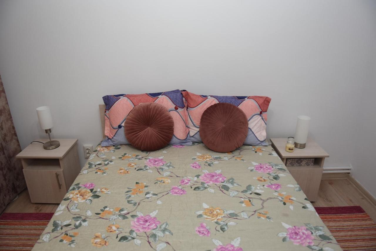 1St Apartment Nehoiu Esterno foto