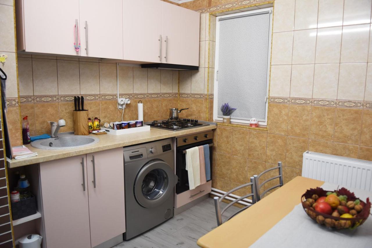 1St Apartment Nehoiu Esterno foto